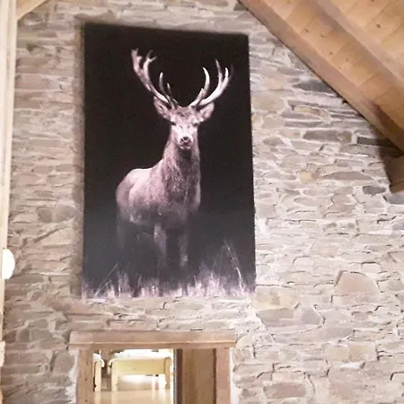 Dom wakacyjny Ma Baraque De Bütgenbach